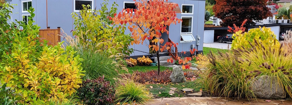 Compact Strata garden designed by Wild Roots Landscaping that features a variety of shrubs, grasses, and perennials in shades of green, orange, and gold.