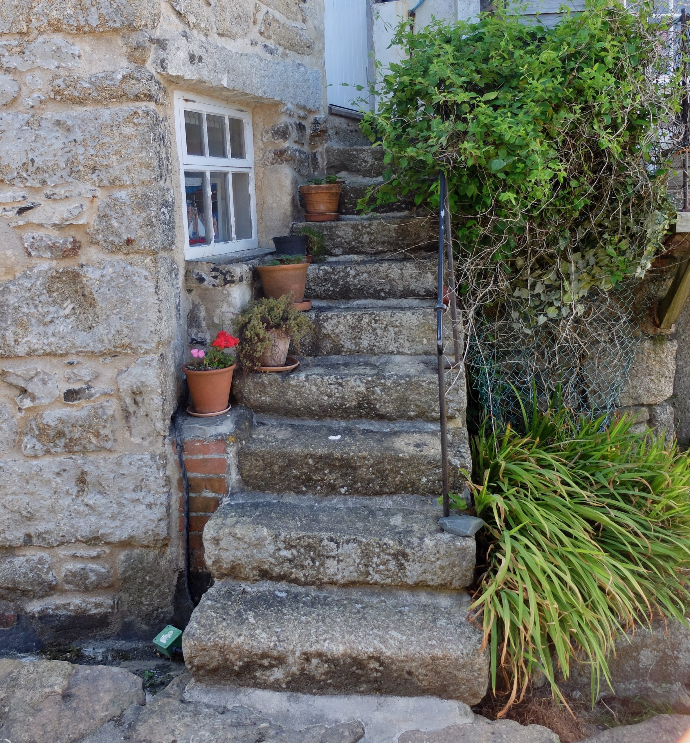 A small flight of stone steps, with potted geraniums to one side, has a good feeling and supports the structure of the building.