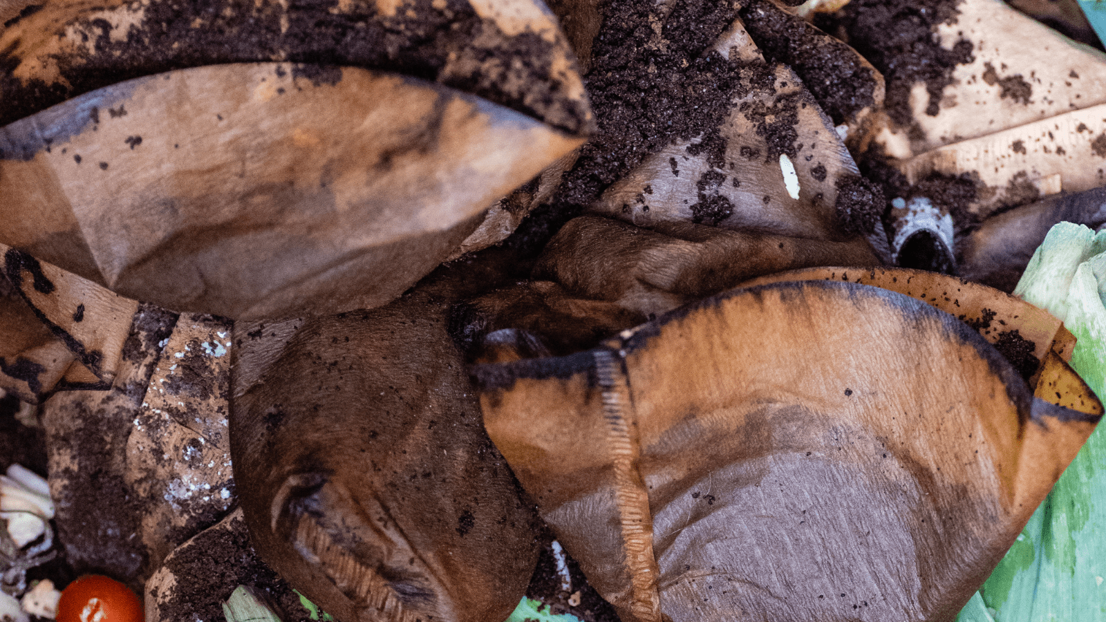 Image of coffee filters and grinds to be composted.