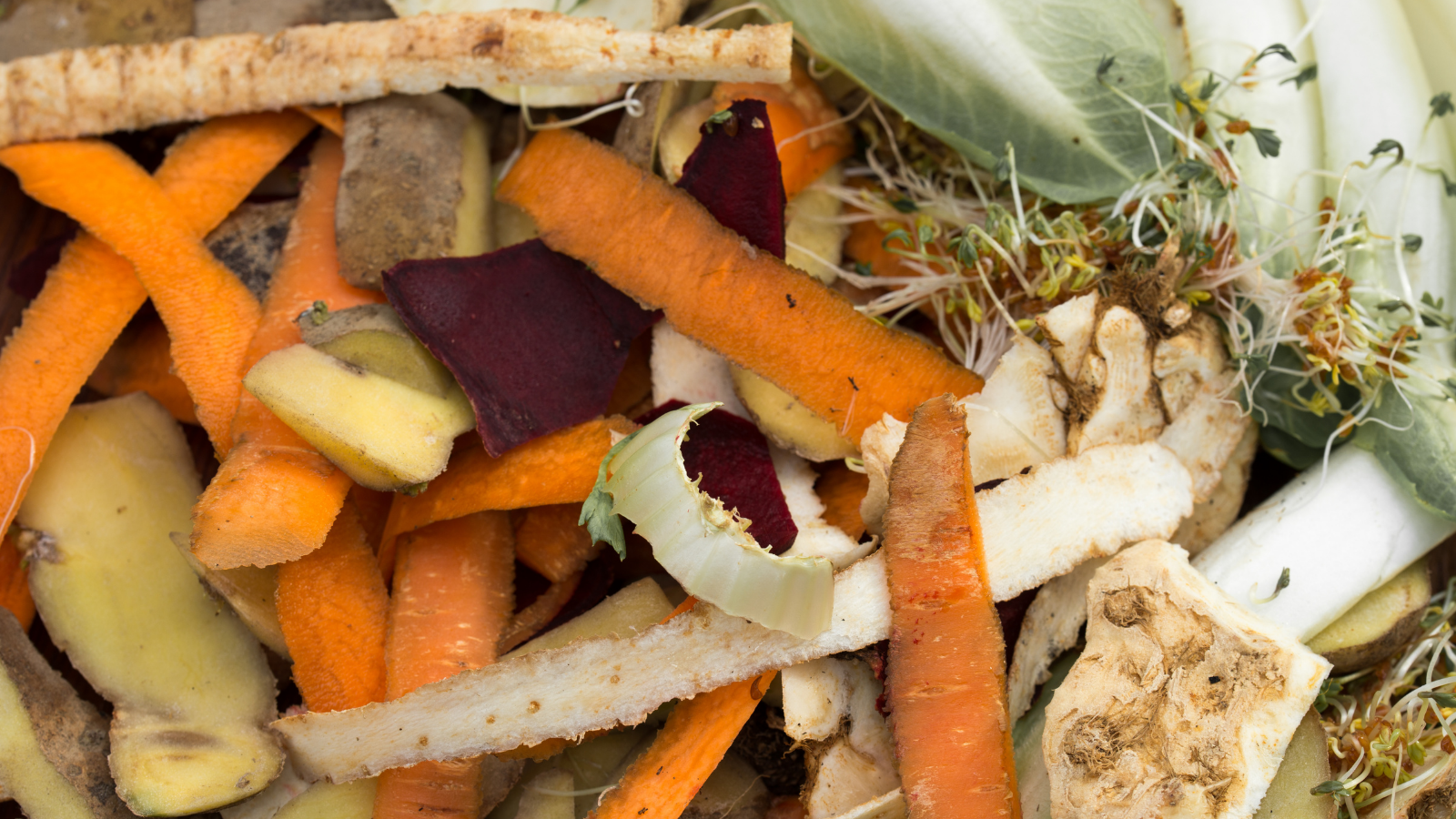 Image of composting or rotting vegetables, including shavings from a peeled carrot.