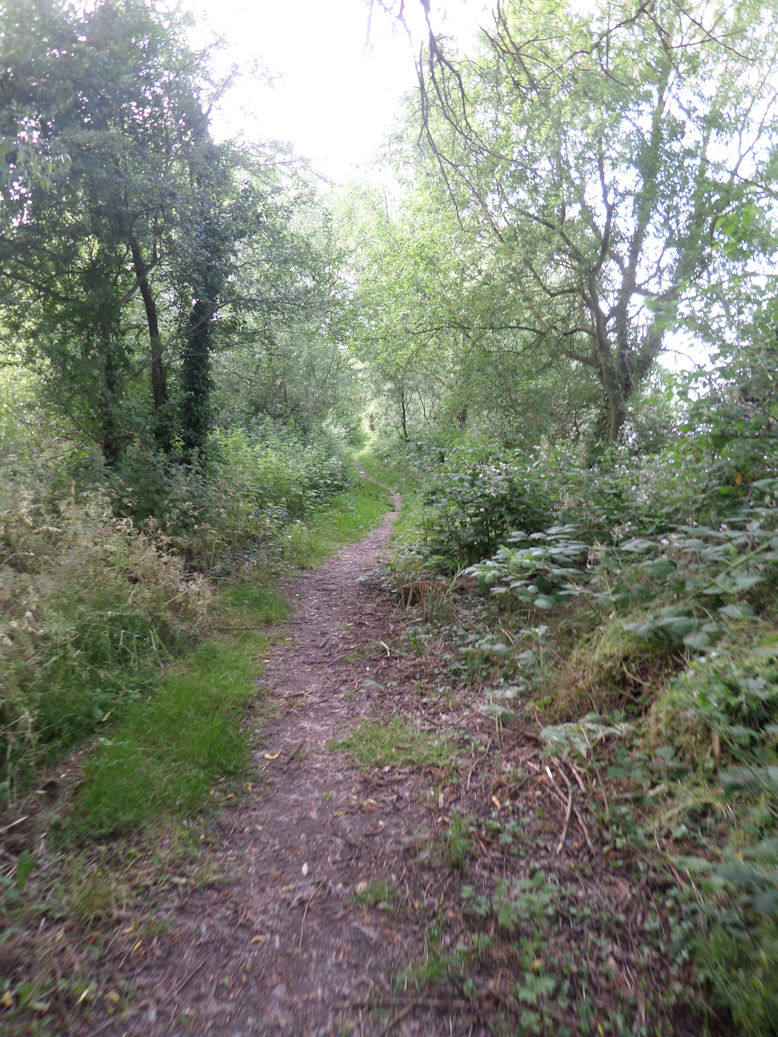 The Buckinghamshire Way: first steps