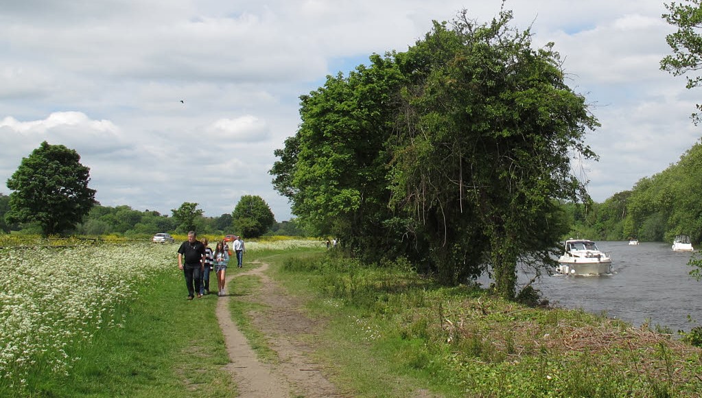 A Round-Surrey walk?