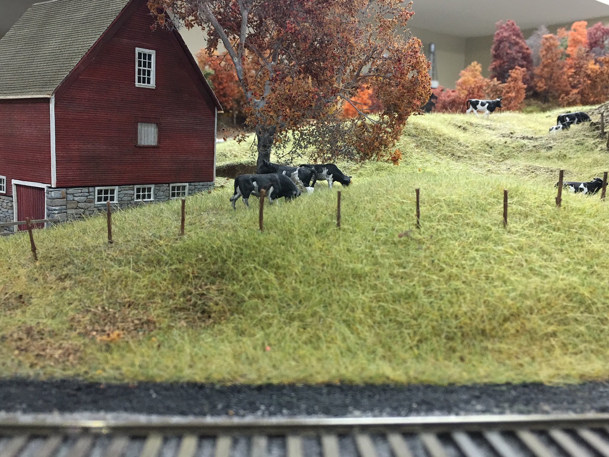 HO Scale Customs Patron Showcase