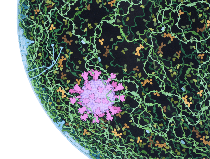 Williamcloudduke William Chaparro Github - Download Classic Light Photo | HD