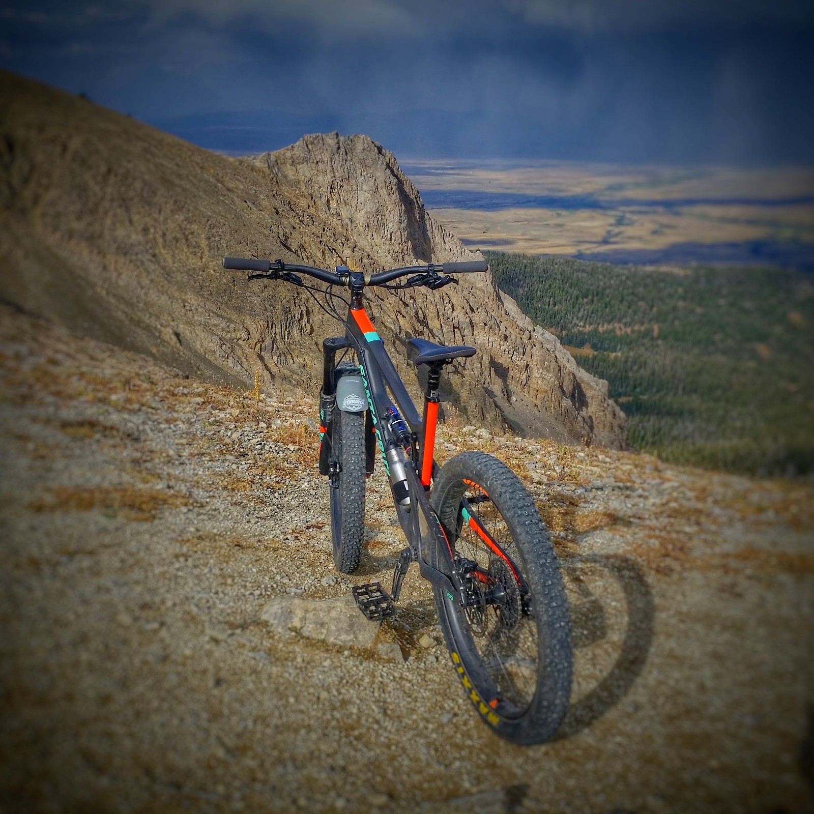 Cruzie on the saddle