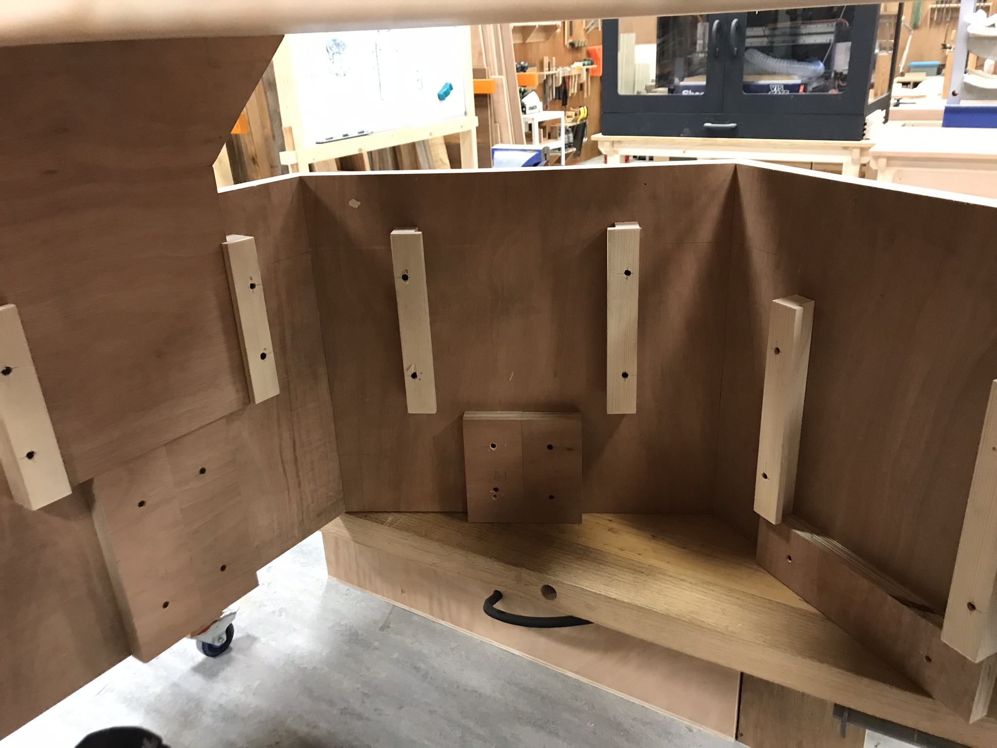 Fionn's internal cleat structure