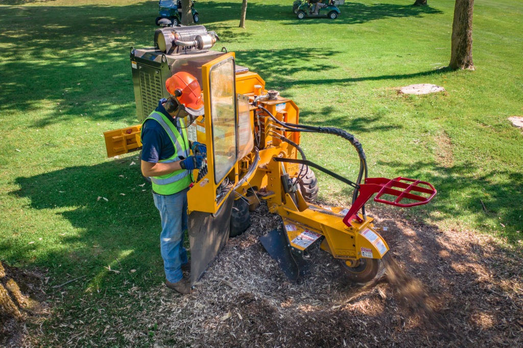 Jackson heavy equipment rental