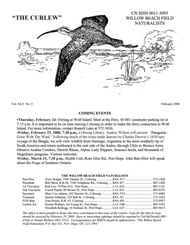 Curlew newsletter cover Feb 2000