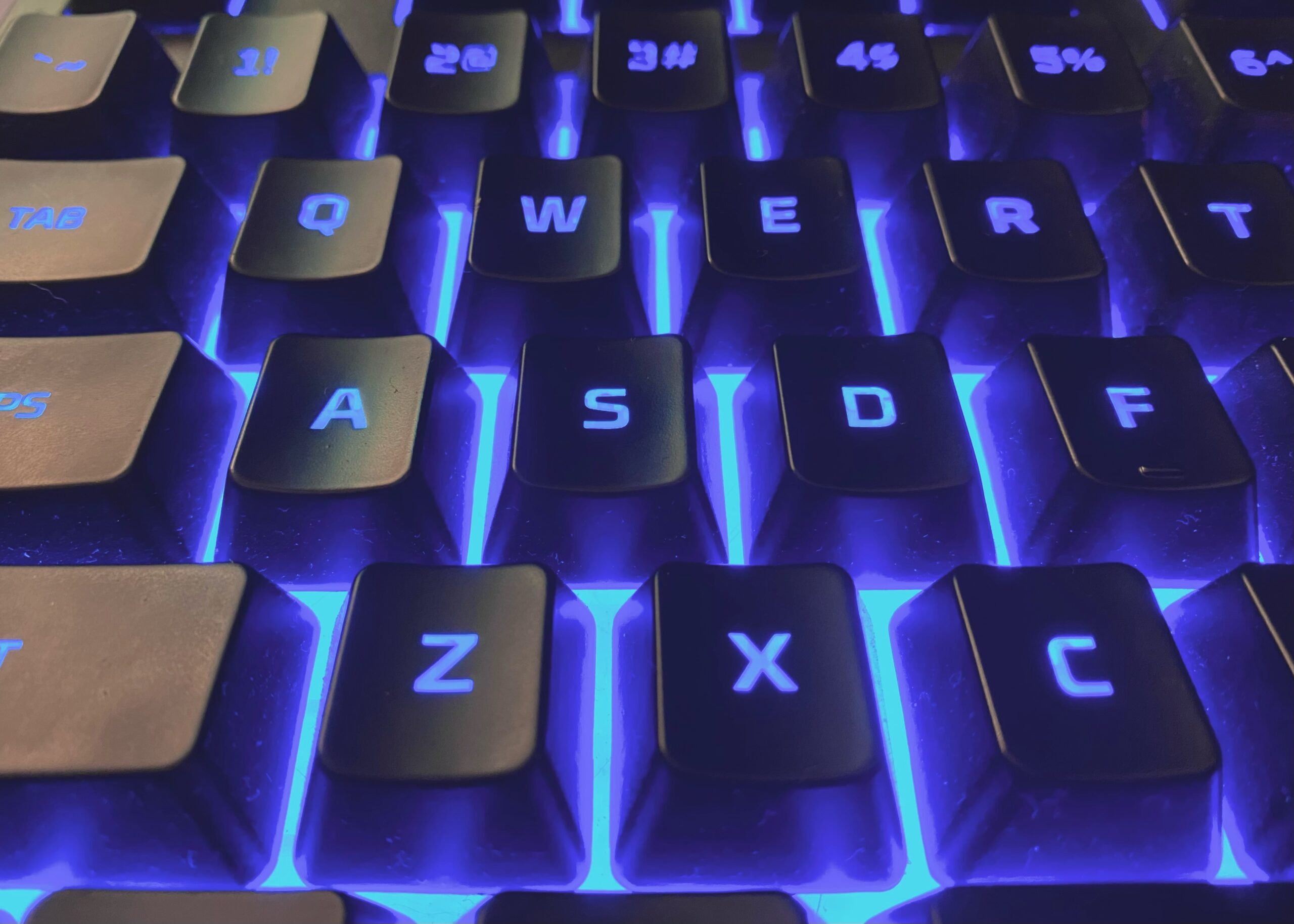 The Club for Studies of Interactive Media: More Than Just Playing Games