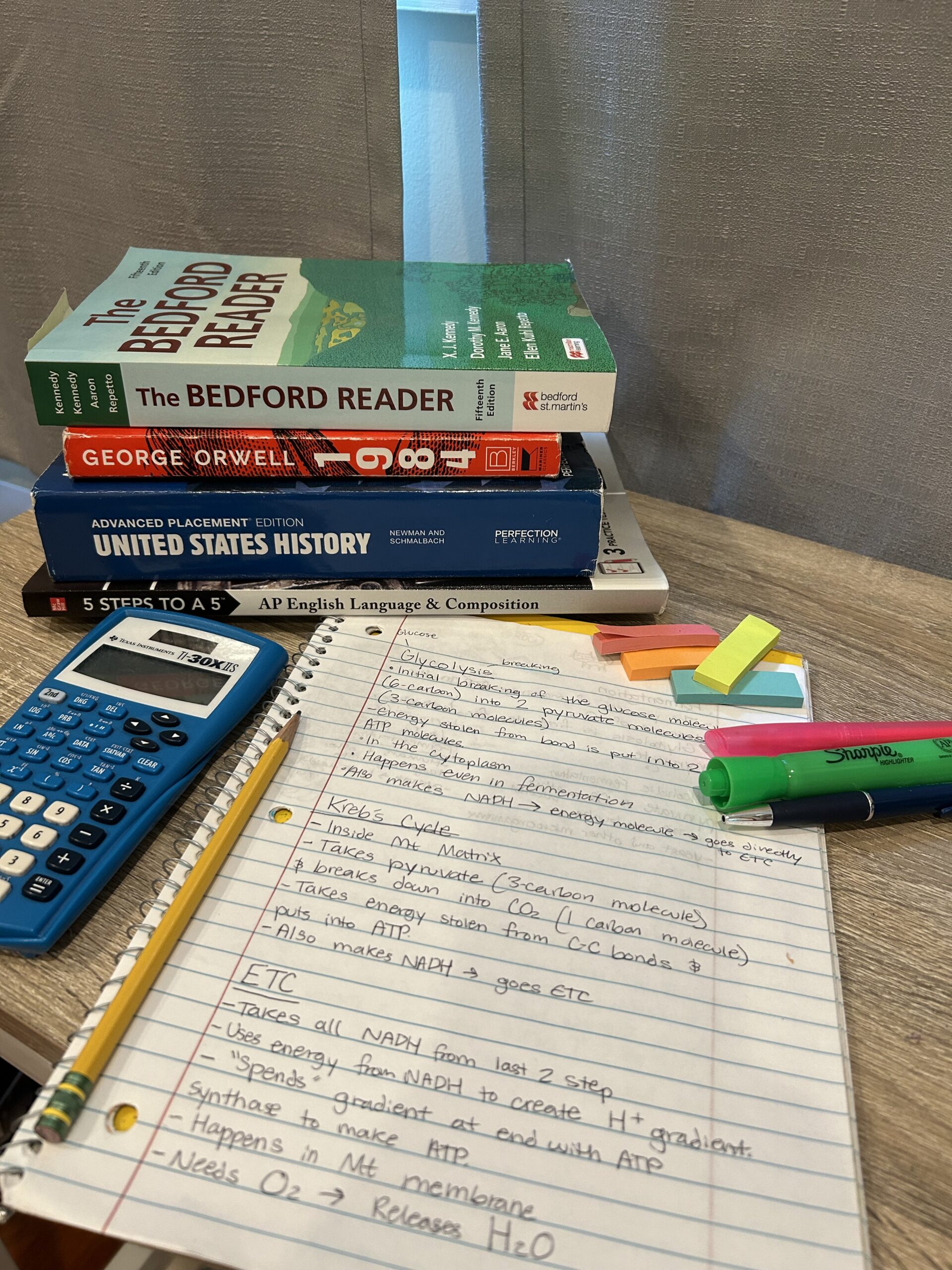 Study Tips From Upperclassmen 