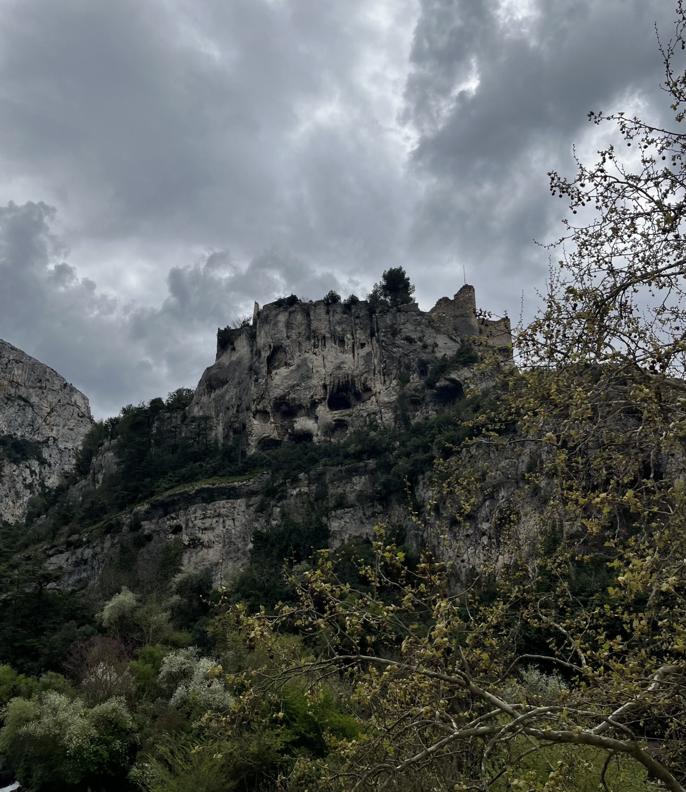 France’s Wildfire Crisis: From Perpignan to Fountainebleau