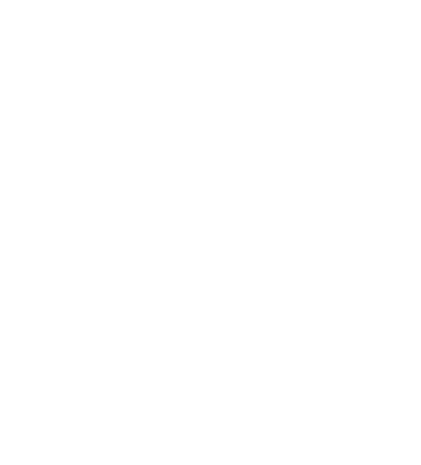 dolphin home menu button