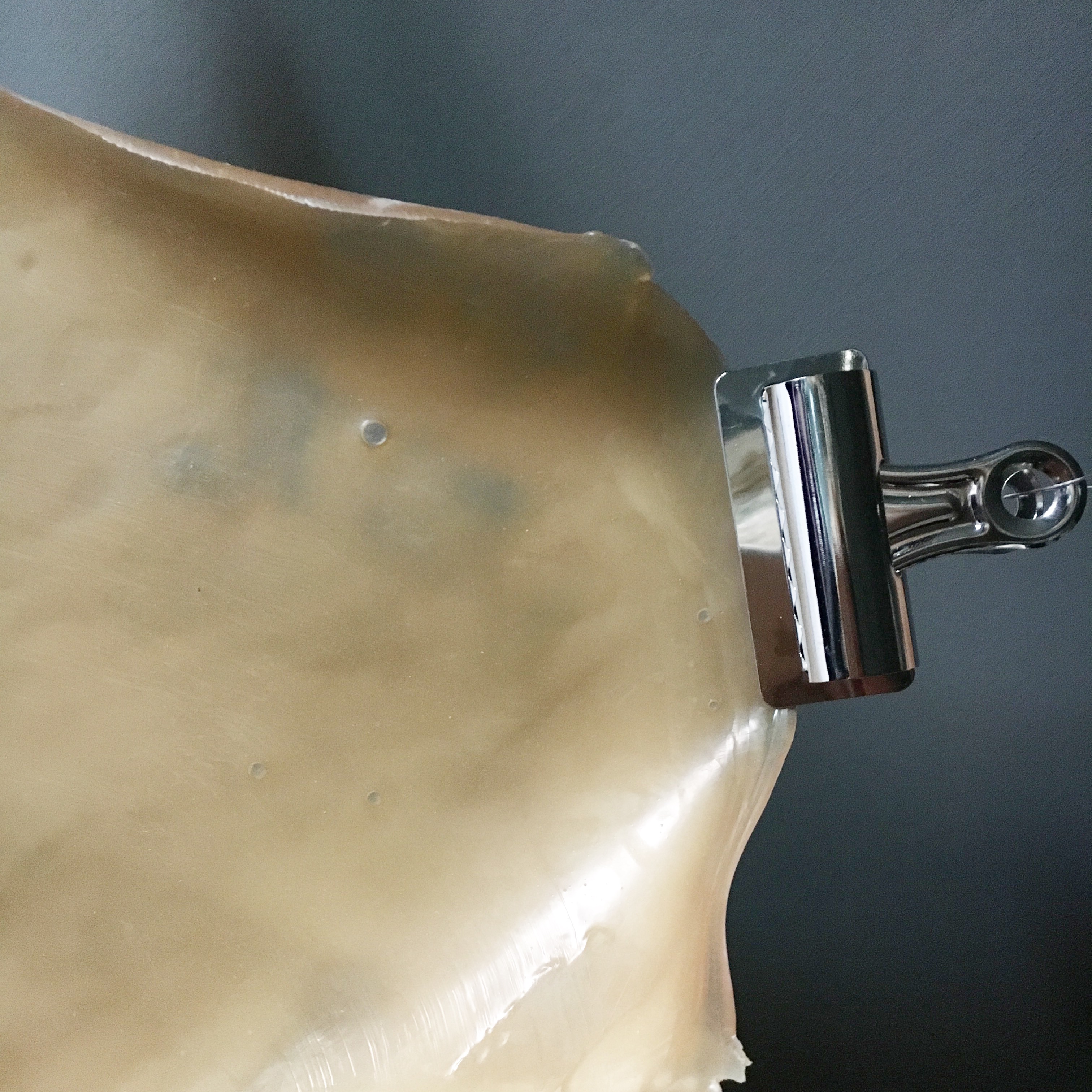 2016, Latex, bulldog clip.