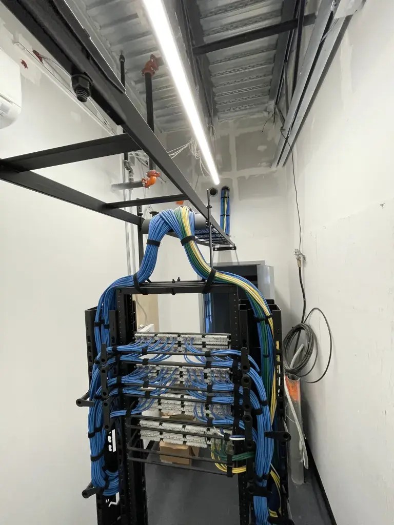 High-density commercial structured cabling installation with organized blue cable pathways