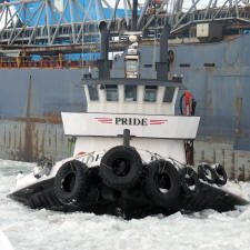 5-Pride-31-01-14-pn_small