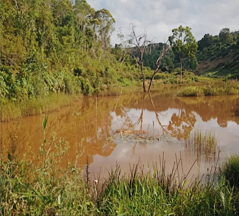 Terreno no Córrego do Limão, foto 5
