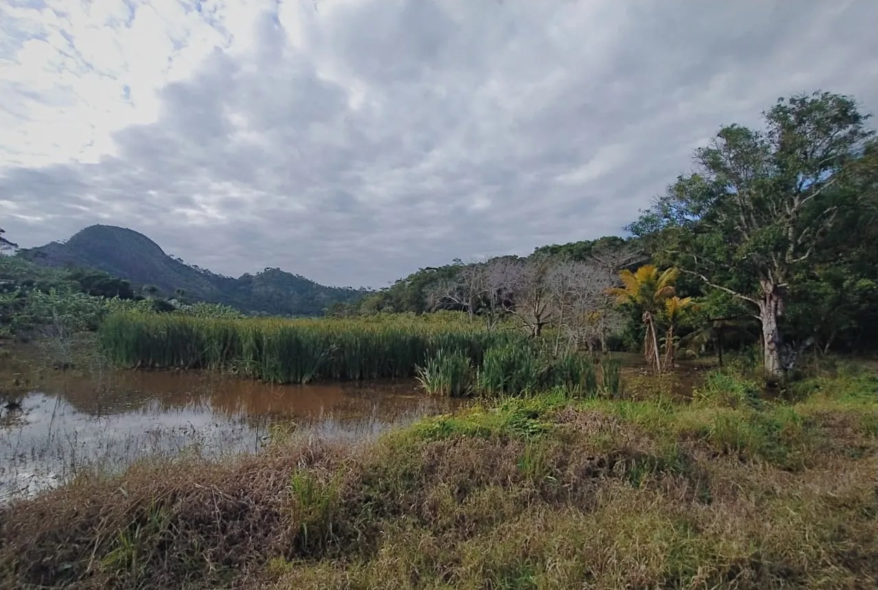 Terreno no Córrego Boa Esperança, foto 14 de 14