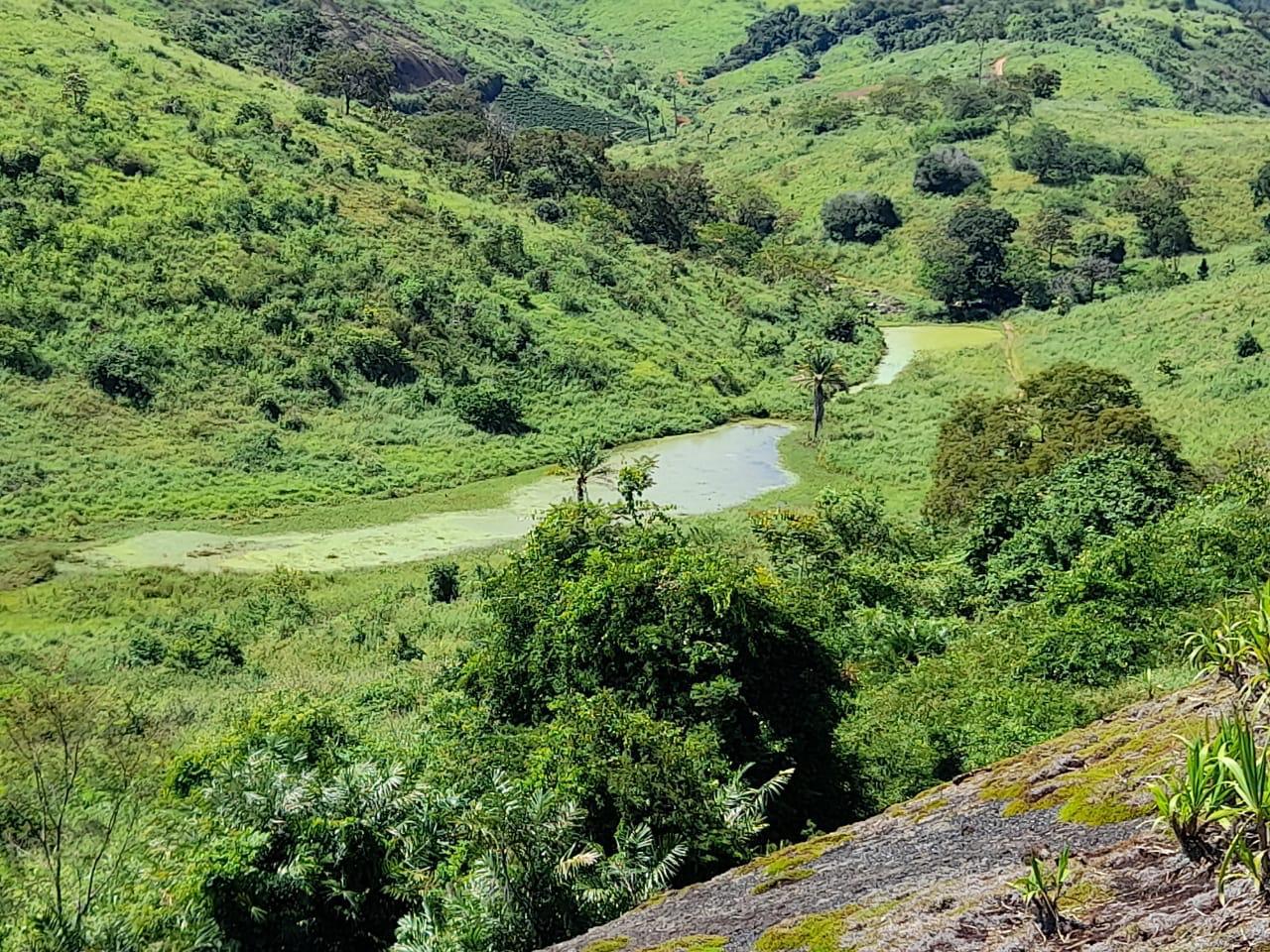 Fazenda no Municipio de Baixo Guandu- ES, foto 23 de 29