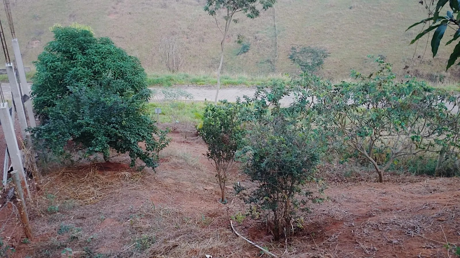 Lote em São Silvano, foto 3