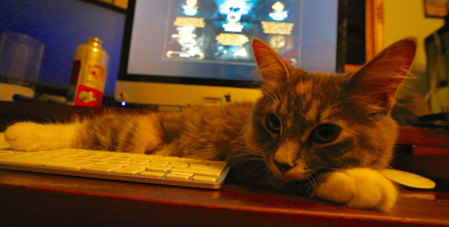 I wanted to play Diablo III. Eliot had other plans.