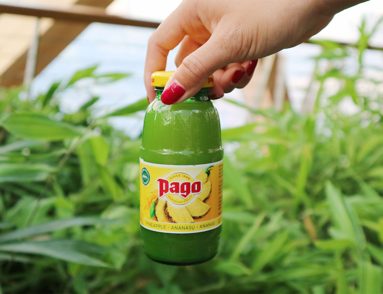 Pineapple Pago Juice