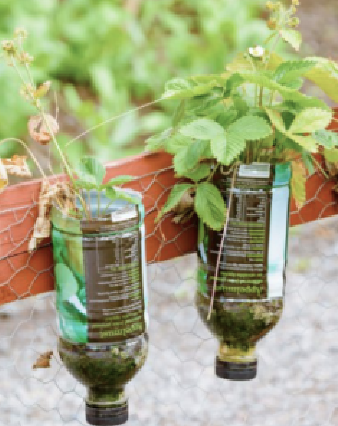 Reciclado creatrivo 4