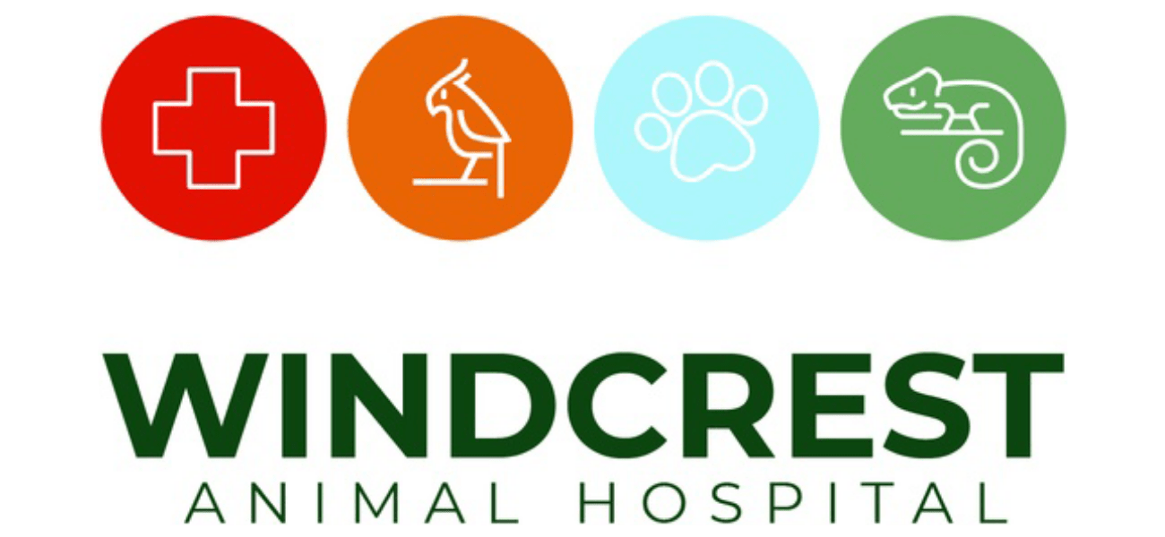 Naamans animal hospital carpenter road wilmington de