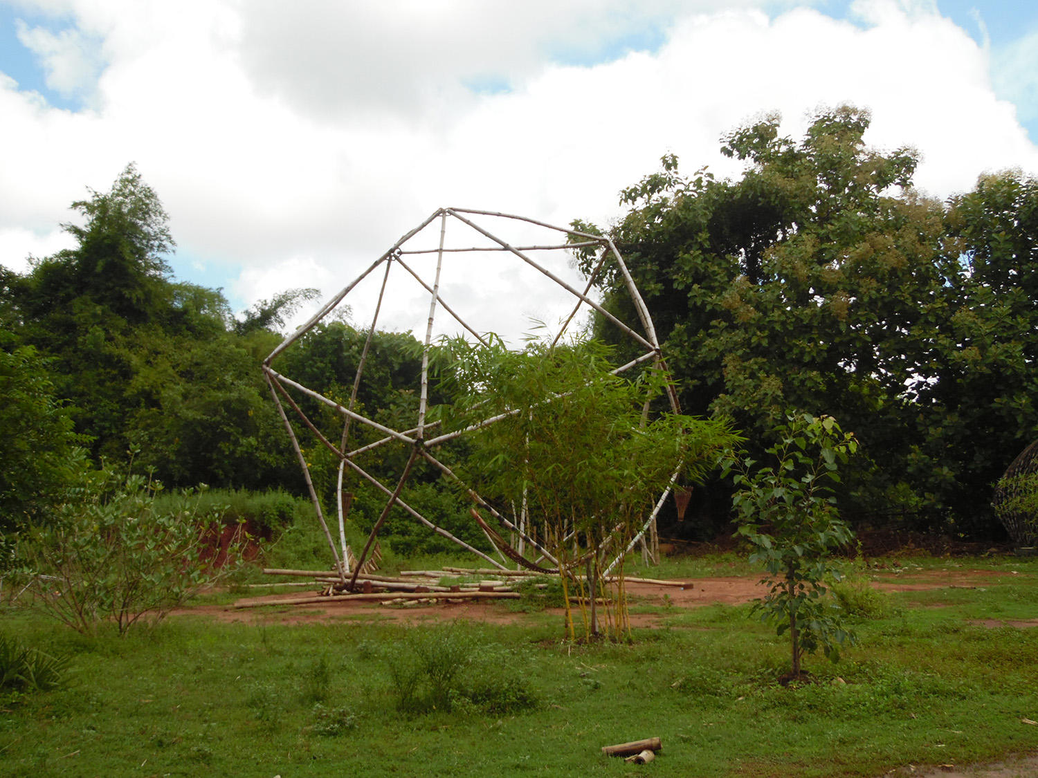 Bamboo center for testing
