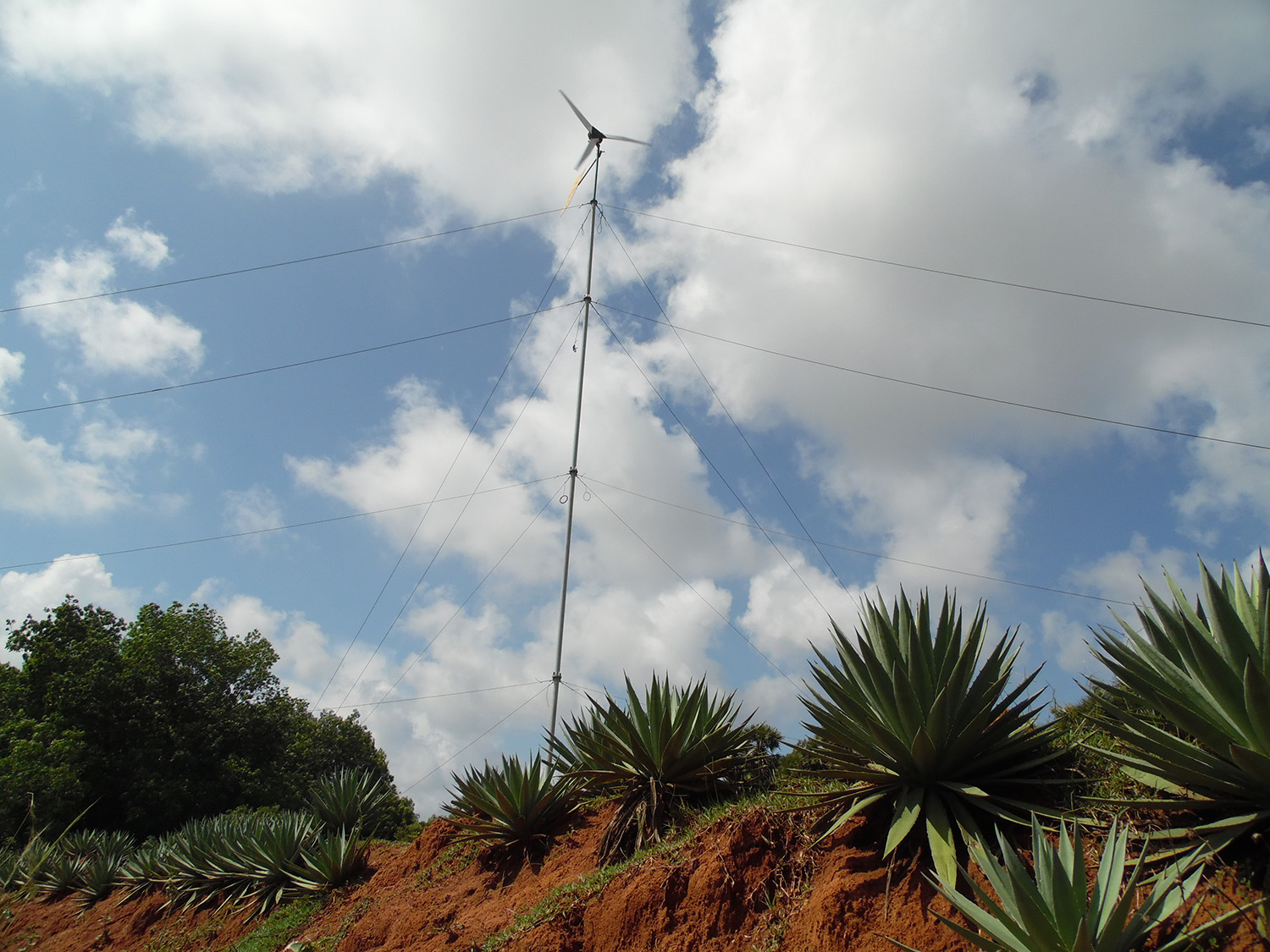 A small wind turbine in Auroville