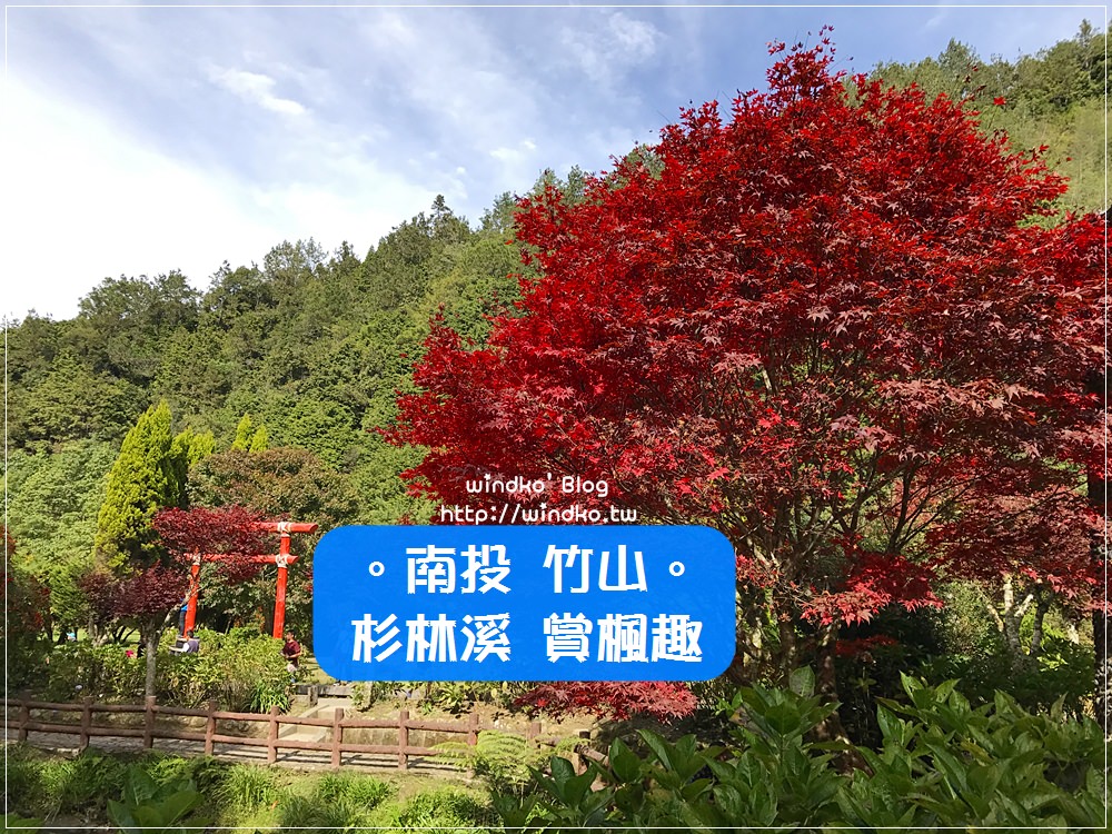 南投竹山∥ 杉林溪賞楓趣 – 楓葉紅了！中部秋天賞楓景點＆葉牡丹