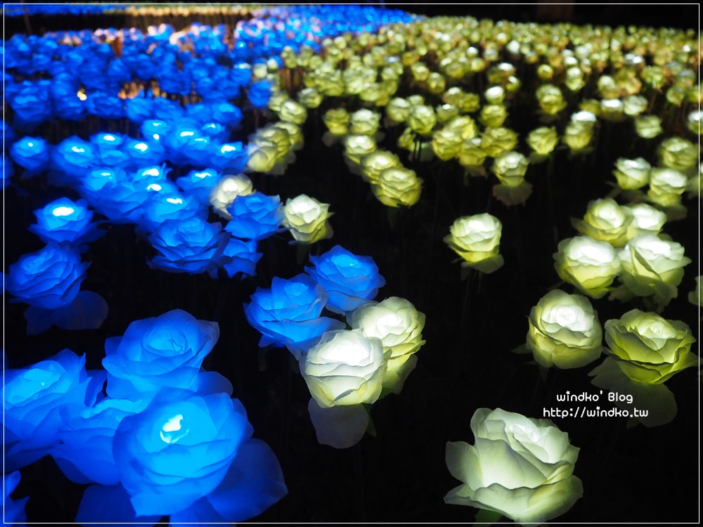 高雄景點∥ 旗津地景藝術夜晚超美麗！彩色玫瑰花燈海＆黃澄麥穗，推薦夜景