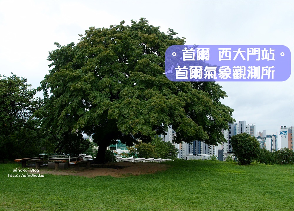 首爾韓劇景點∥ 屋塔房王世子、河伯的新娘2017劇中的楓樹就在首爾氣象觀測所서울기상관측소_近慶熙宮