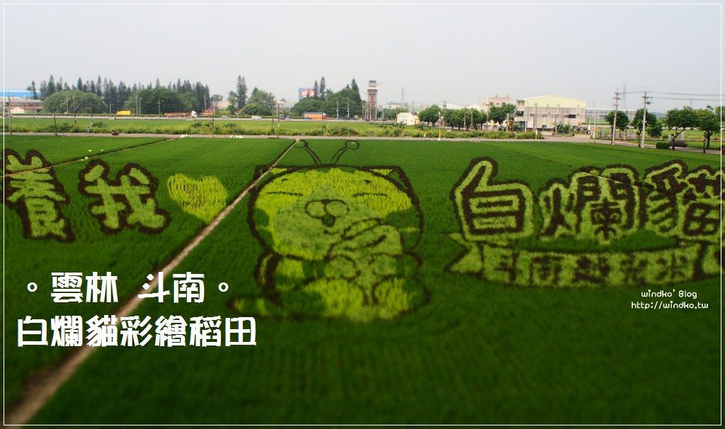 雲林斗南∥ 石龜火車站x白爛貓彩繪稻田x斗南越光米蟲好懂吃市集
