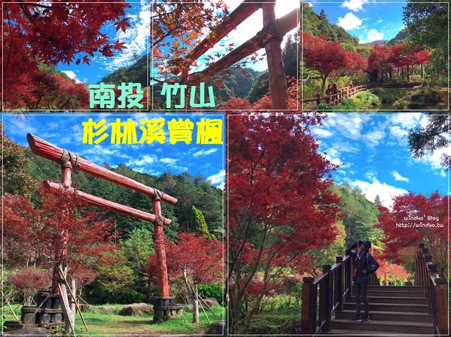 楓葉紅了！杉林溪 秋天楓紅美景，10月底11月初最美麗_南投賞楓景點