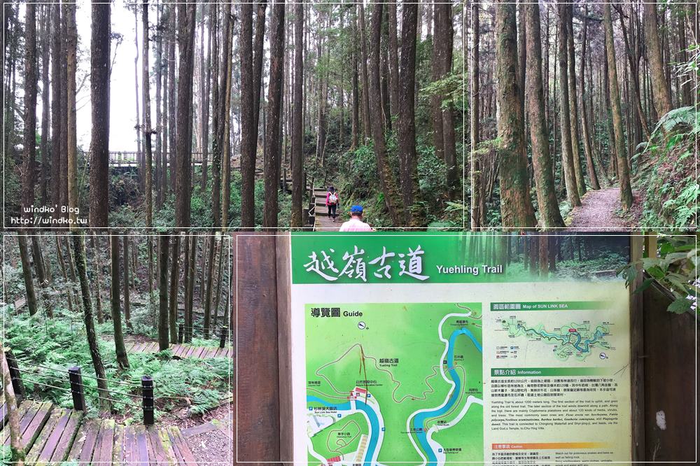南投景點∥ 杉林溪 越嶺古道 – 沿途柳杉環繞的階梯與舊林道