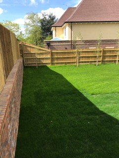 Fully established turf