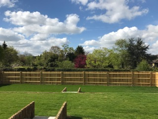 Steps leading to garden