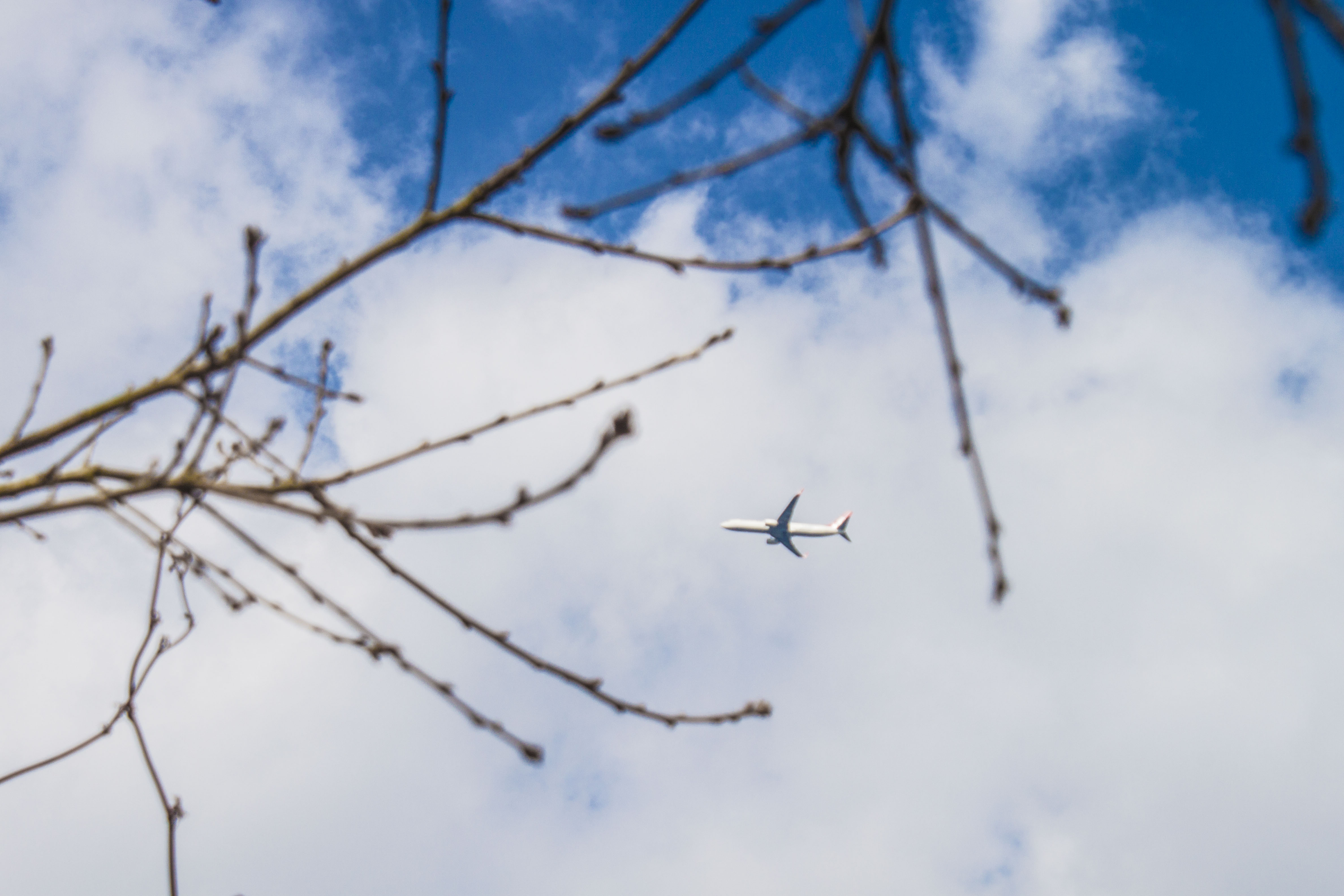 Flugzeug über dem Stelinger Berg