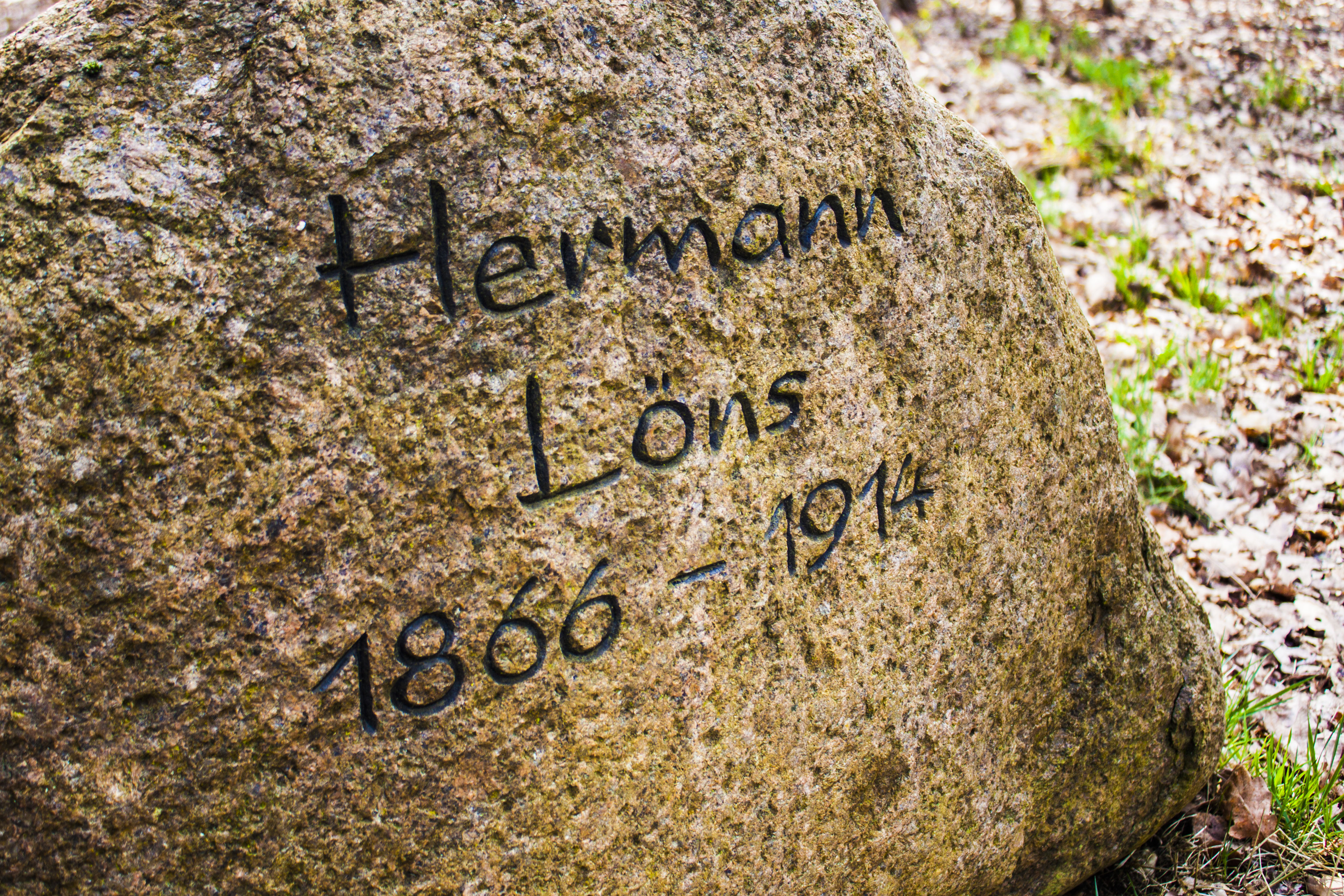 Viel Gelöns auch hier oben auf dem Stelinger Berg.