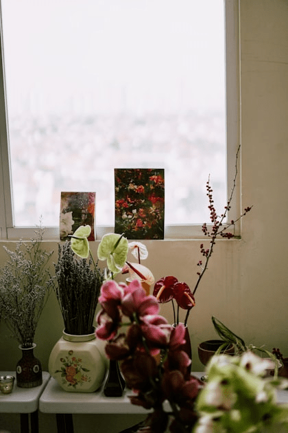 Decorating with Houseplants