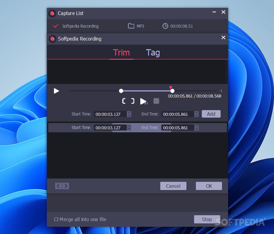 Audfree audio capture