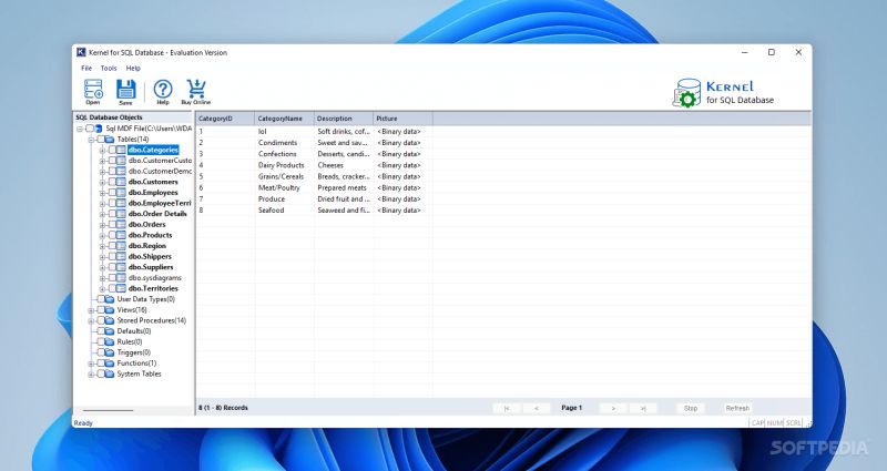 Kernel For Sql Database Download Softpedia - Nature Patterns - Professional Full HD Collection
