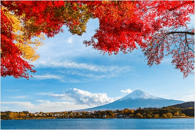 Meilleures Arriere Plan Virtuelles Gratuites Pour Teams Et Zoom