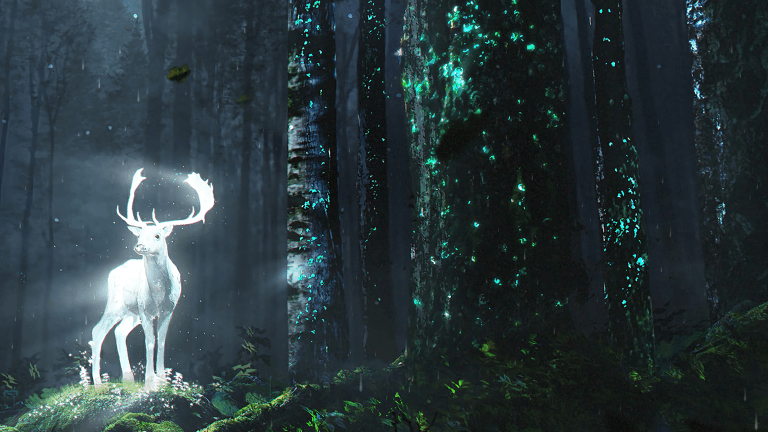 Https Encrypted Tbn0 Gstatic Com Images Q Tbn 3aand9gctisvpemcqhbopjxzdxy9geepbqpujg3e6zmerwtbi9jgiqmiqn