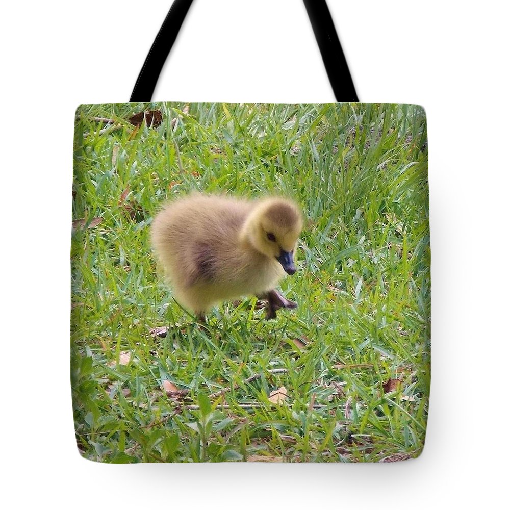 showtotebagpreview (2)