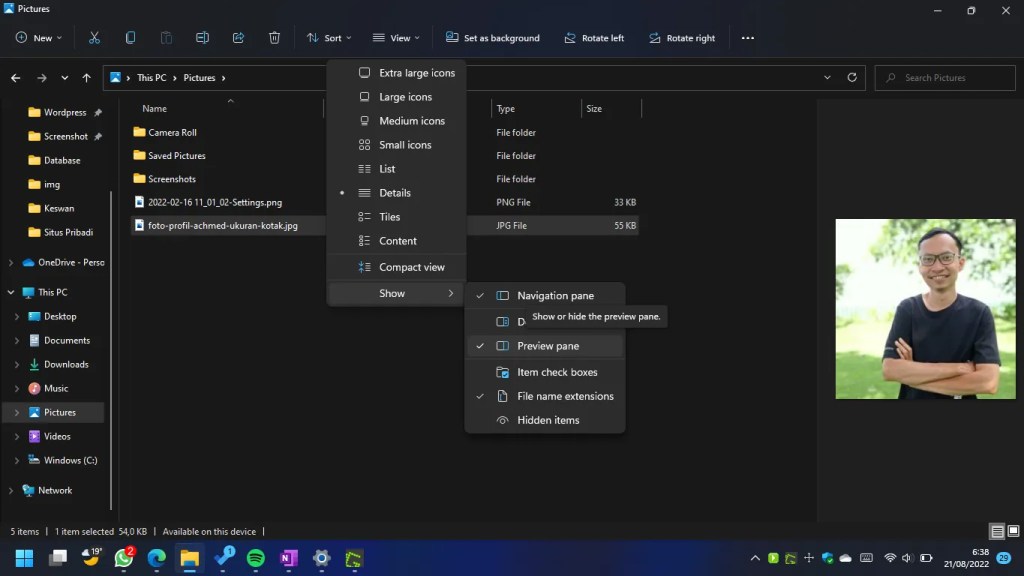 Preview Pane Windows 11