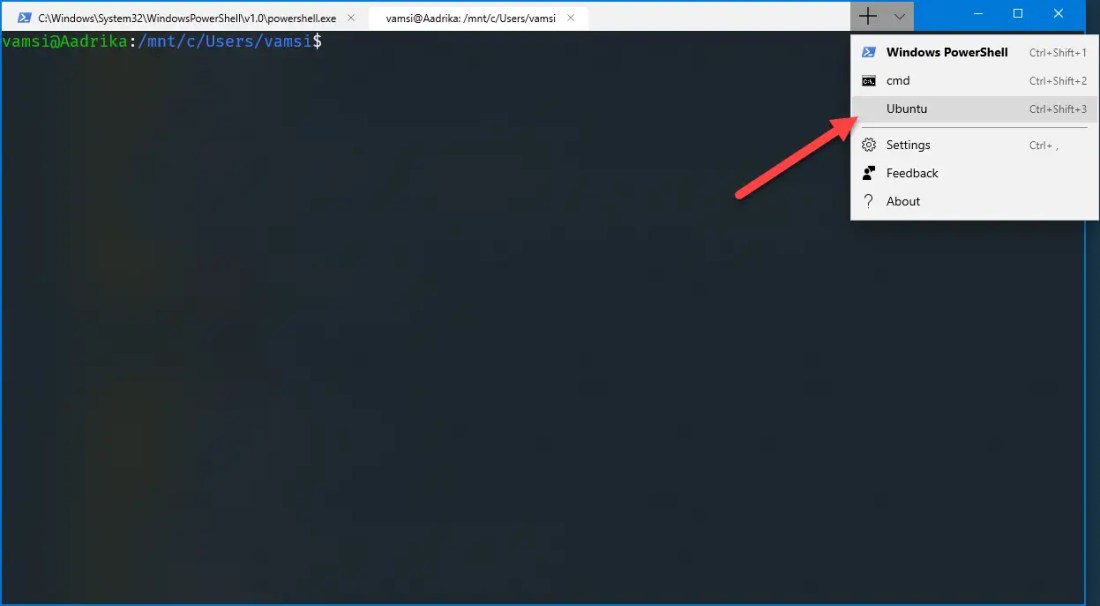 Ubuntu in windows terminal - ubuntu added to windows terminal