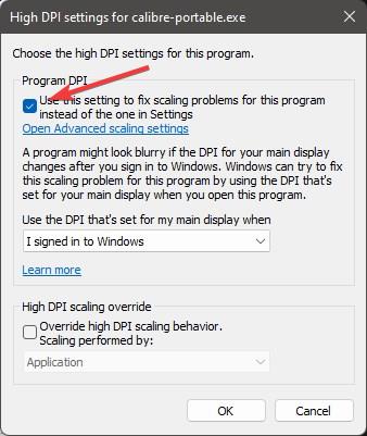 select program DPI checkbox