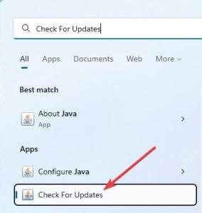 How to Check Java Version in Windows 10 & 11