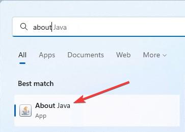 How to Check Java Version in Windows 10 & 11
